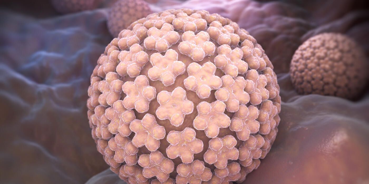 Rendering of HPV virus