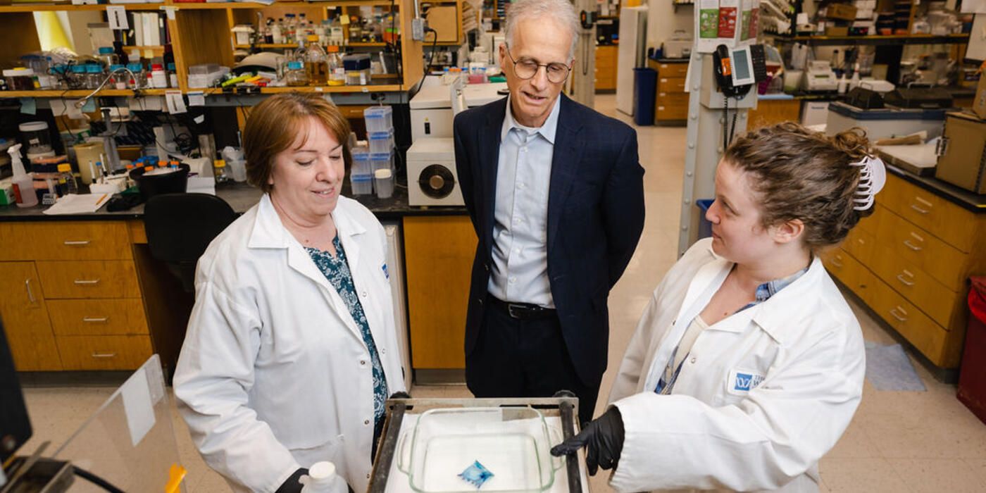Dr. Paul Lieberman talks with two scientists in the lab