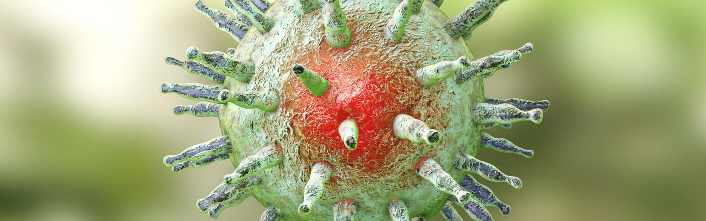 An Epstein-Barr virus cell