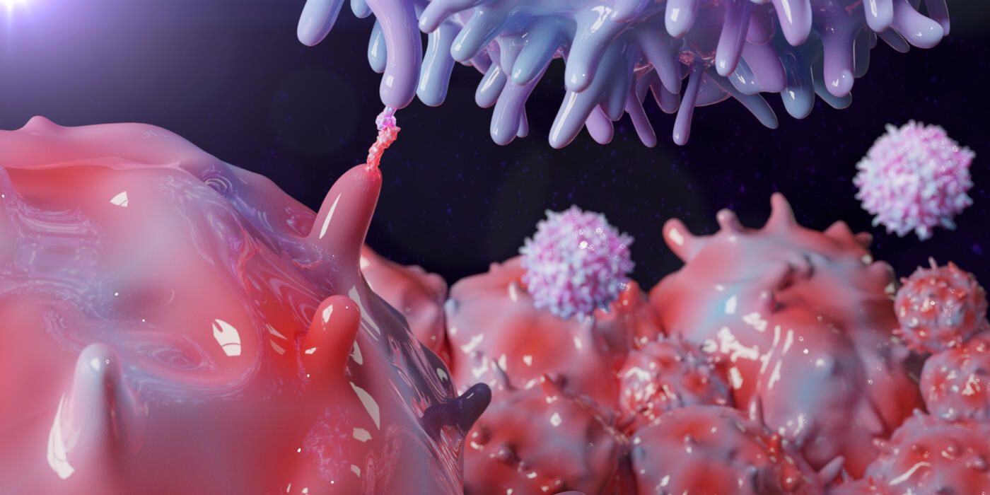 3D rendering of PD-1 and PD-1L protein molecules on t cell and cancer cells binding as part of a immune checkpoint