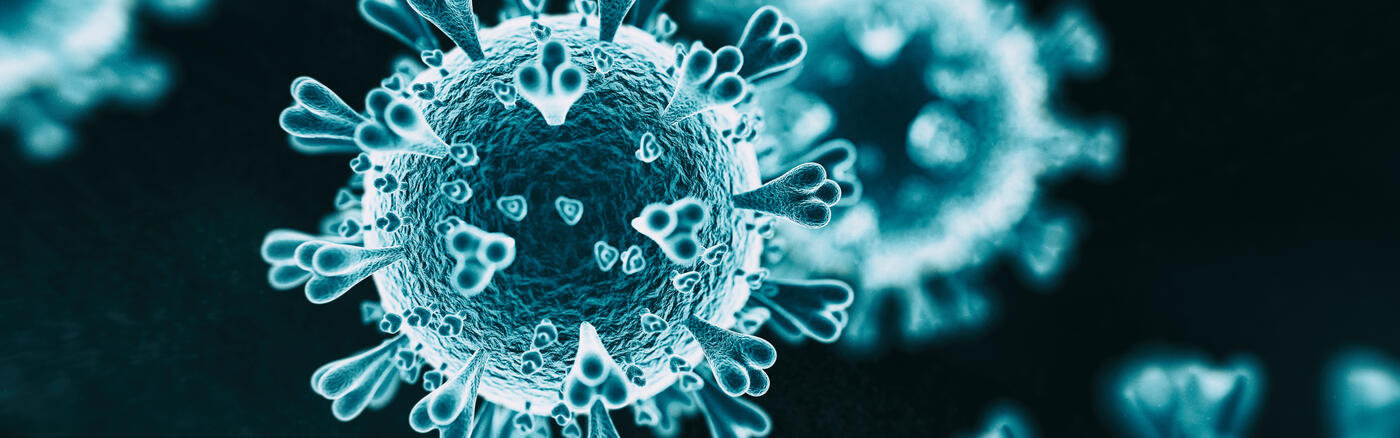 A coronavirus cell