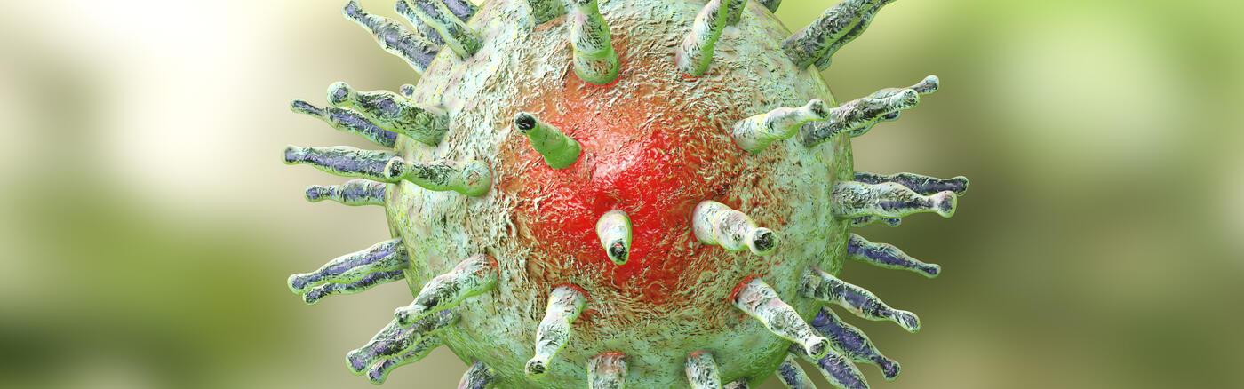 An Epstein-Barr virus cell