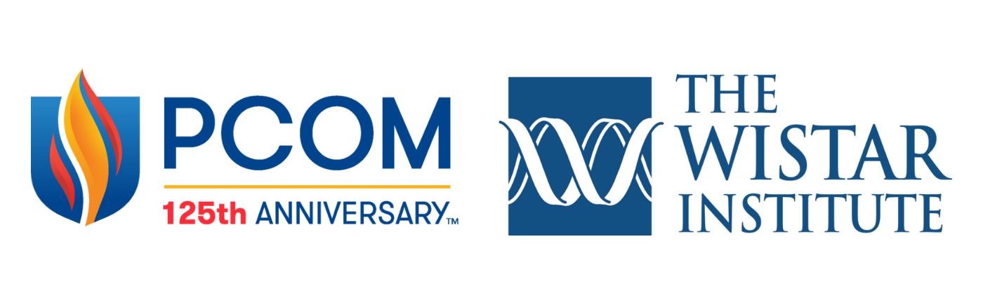 Free Photo Careers Different Career Paths Being On The Fast Track