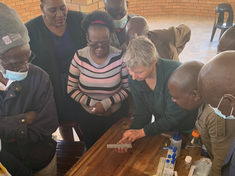 International Biomedical Laboratory Orientation Courses