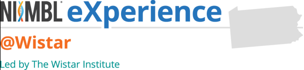 nimble experience logo
