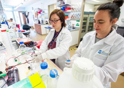 Wistar Postdoctoral Training Program